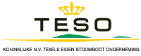 teso-Logo