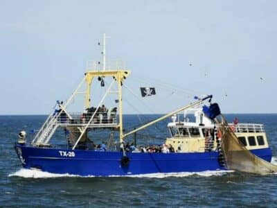 Garnelenboot-Texel