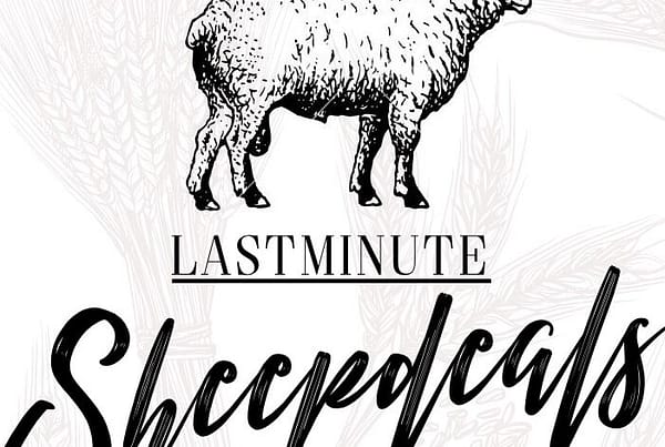 last-minute-sheepdeal